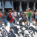 Among the pigeons.jpg