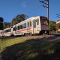 PAT 4317.jpg