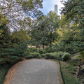 Central Park-1.jpg