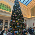 Christmas tree in Chicago.jpg