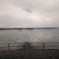 Ice floes on the Susquehanna.jpg