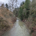 Johnson Creek.jpg