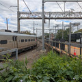 NJT 1311.jpg