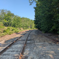 Brunswick Wye 2.jpg