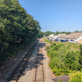 Brunswick Wye 6.jpg