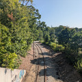 Brunswick Wye 8.jpg