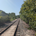 Brunswick Wye 9.jpg