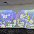 Fish on the wall.jpg