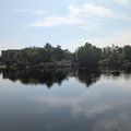 Goat Island.jpg
