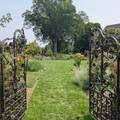 Dean Bond Rose Garden.jpg