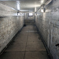 Tunnel under the tracks.jpg
