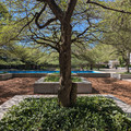 South Garden.jpg