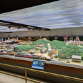 Wide shot.jpg